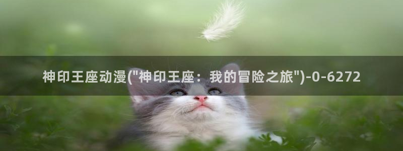 高h动漫