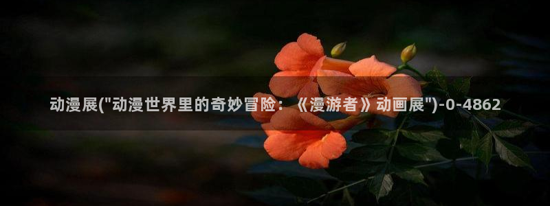 动漫网